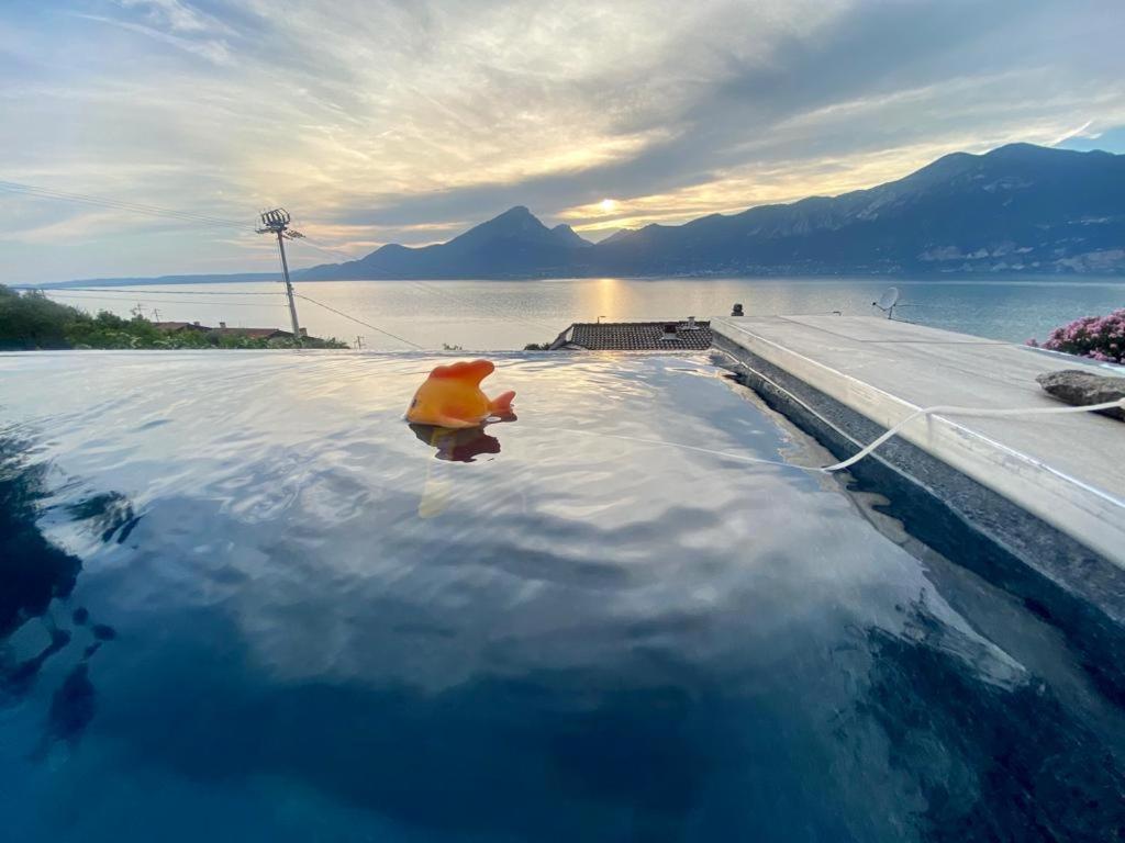 Holzi Brenzone sul Garda